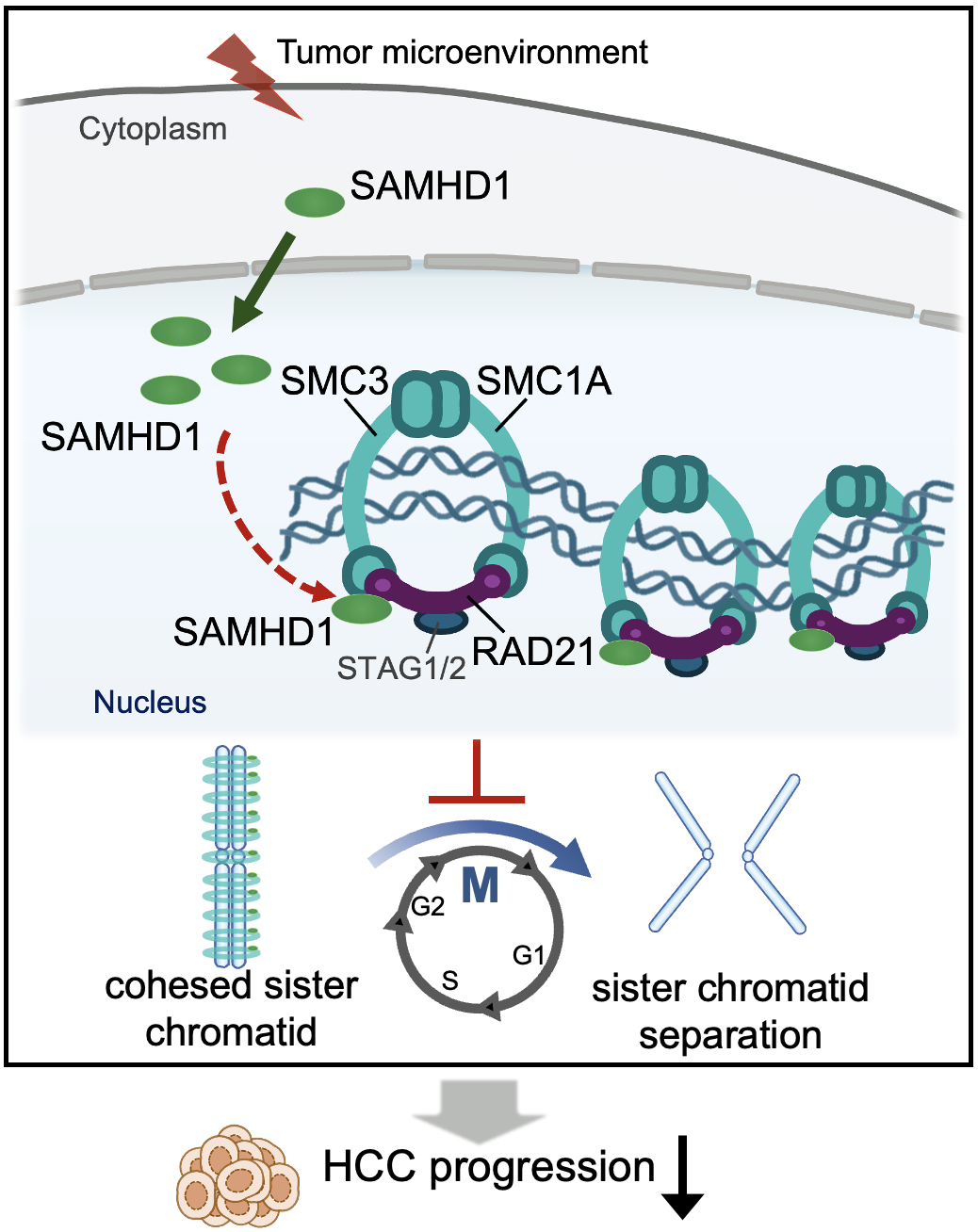 /crm/product/image/20241223/1734945294234059030.png /crm/product/image/20241223/1734945294234059030.png