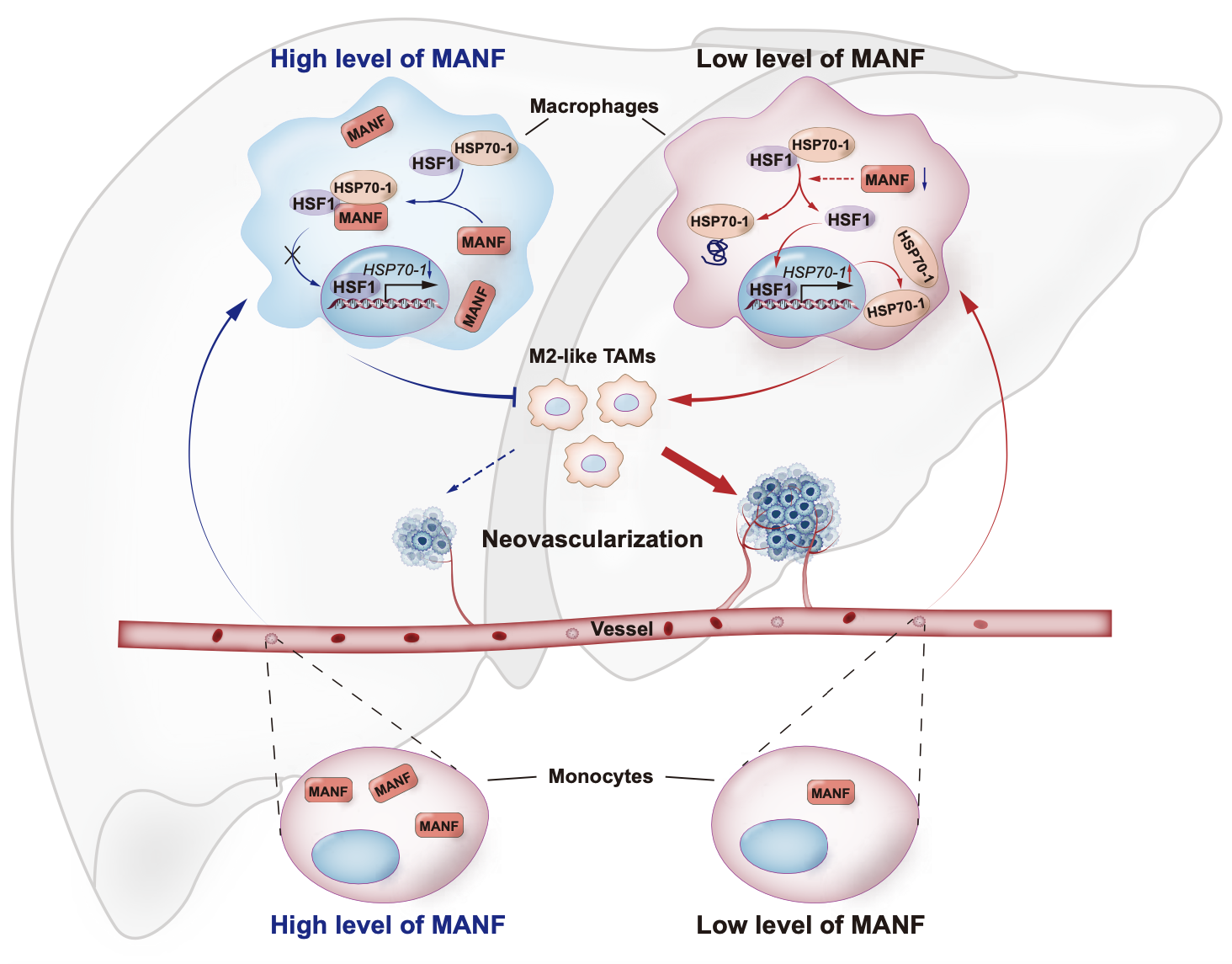 /crm/product/image/20241223/1734945366373071717.png /crm/product/image/20241223/1734945366373071717.png