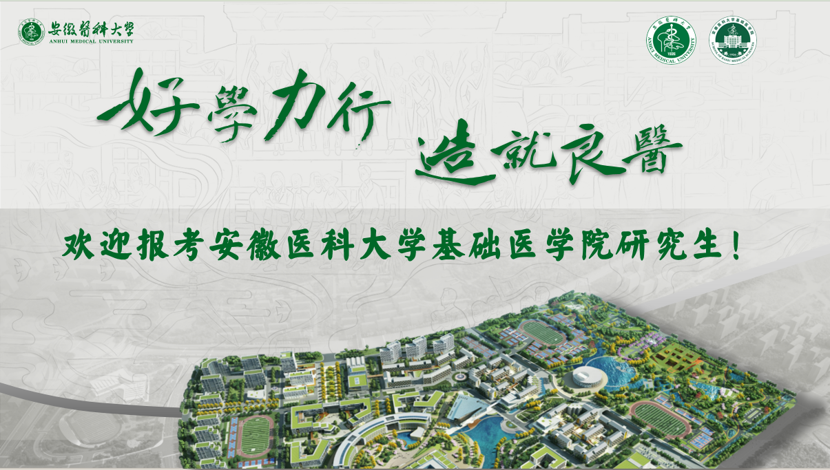 /crm/product/image/20250703/1751529863172052051.png 1751529863172052051.png